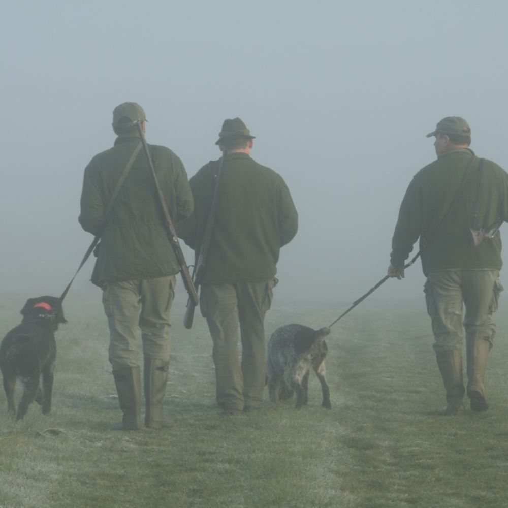 Jagdschule Wildwechsel Exklusivkurs zum Jagdschein